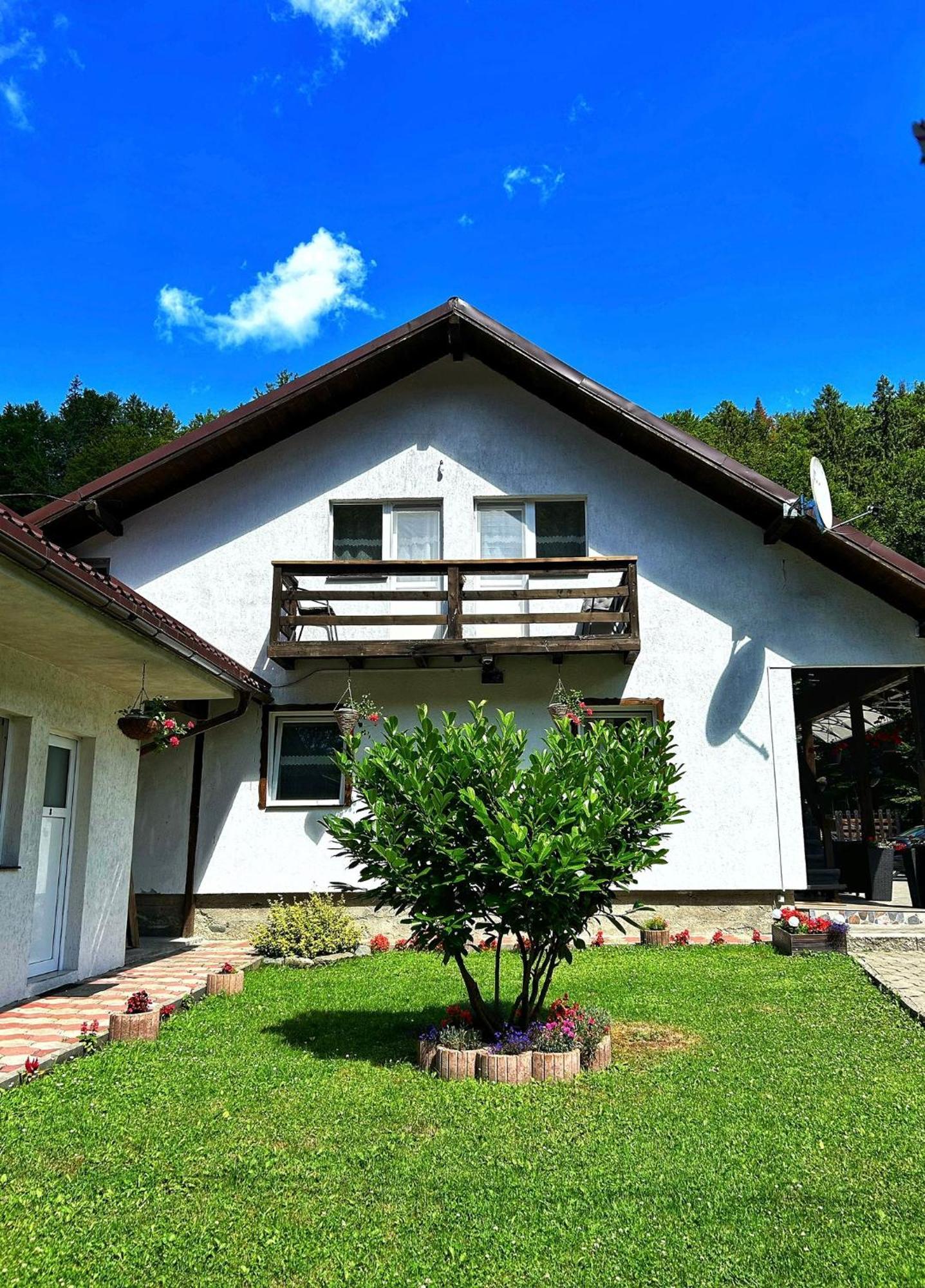 Casa Popa'S Hotel Cartisoara Exterior photo